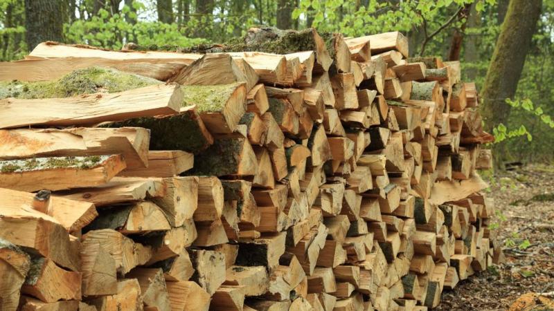 Pályázati lehetőség szociális tűzifára – megmutatjuk, hol és meddig lehet jelentkezni!