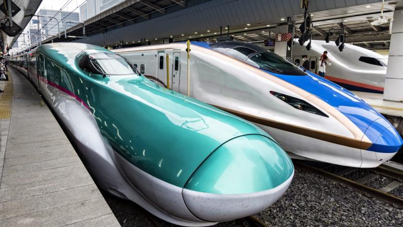 Egy kígyó okozott fennakadást a japán szuperexpressz működésében | 24.hu