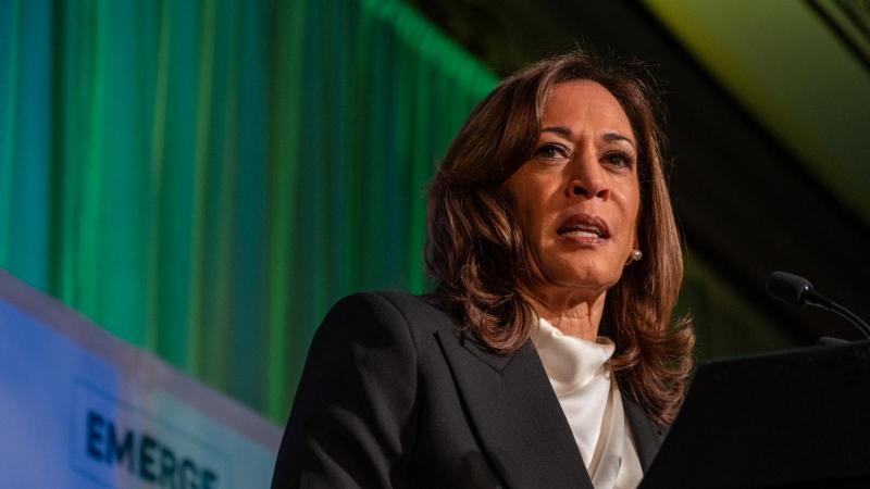 Kamala Harris: Az Egyesült Államok alkotmányos válság küszöbén áll

Kamala Harris, az Egyesült Államok alelnöke, figyelmeztetett arra, hogy az ország súlyos alkotmányos válság felé halad. Szerinte a demokratikus intézmények és alapelvek megóvása érdekében