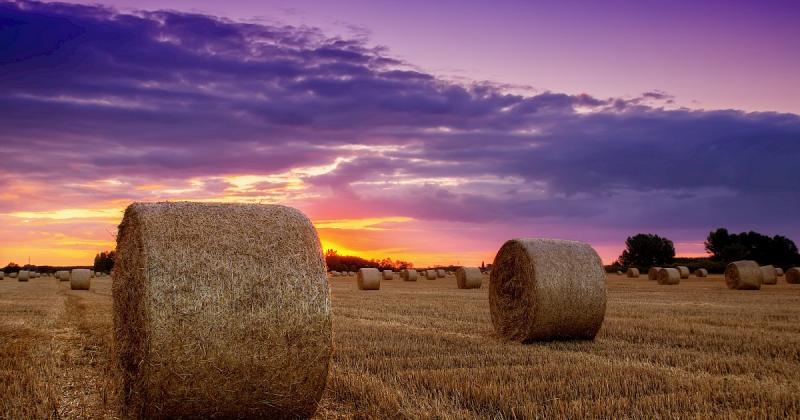 Novemberben közel 9 ezer hektár állami földterület kerül árverésre.