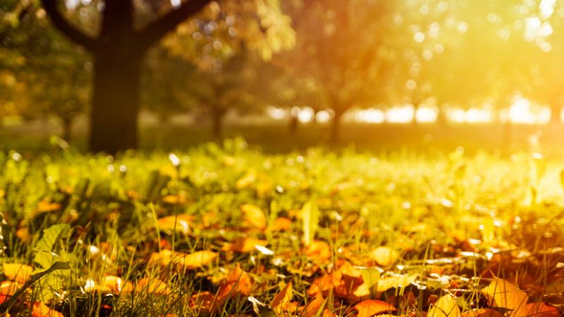 Olyan esemény zajlott le Magyarországon, amelyre legutóbb 13 évvel ezelőtt volt példa - Agrárszektor.